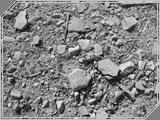 Macro01 - 213kb