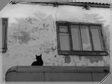 Miscellaneous01 - 118kb