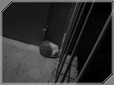 Miscellaneous03 - 79kb