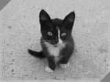 Miscellaneous12 - 123kb