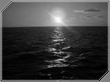 Nature02 - 115kb
