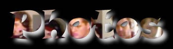 Photos