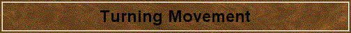 Turning Movement