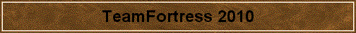TeamFortress 2010