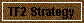  TF2 Strategy 