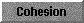  Cohesion 