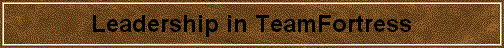 Leadership in TeamFortress