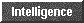  Intelligence 