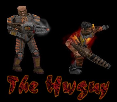 The Hwguy
